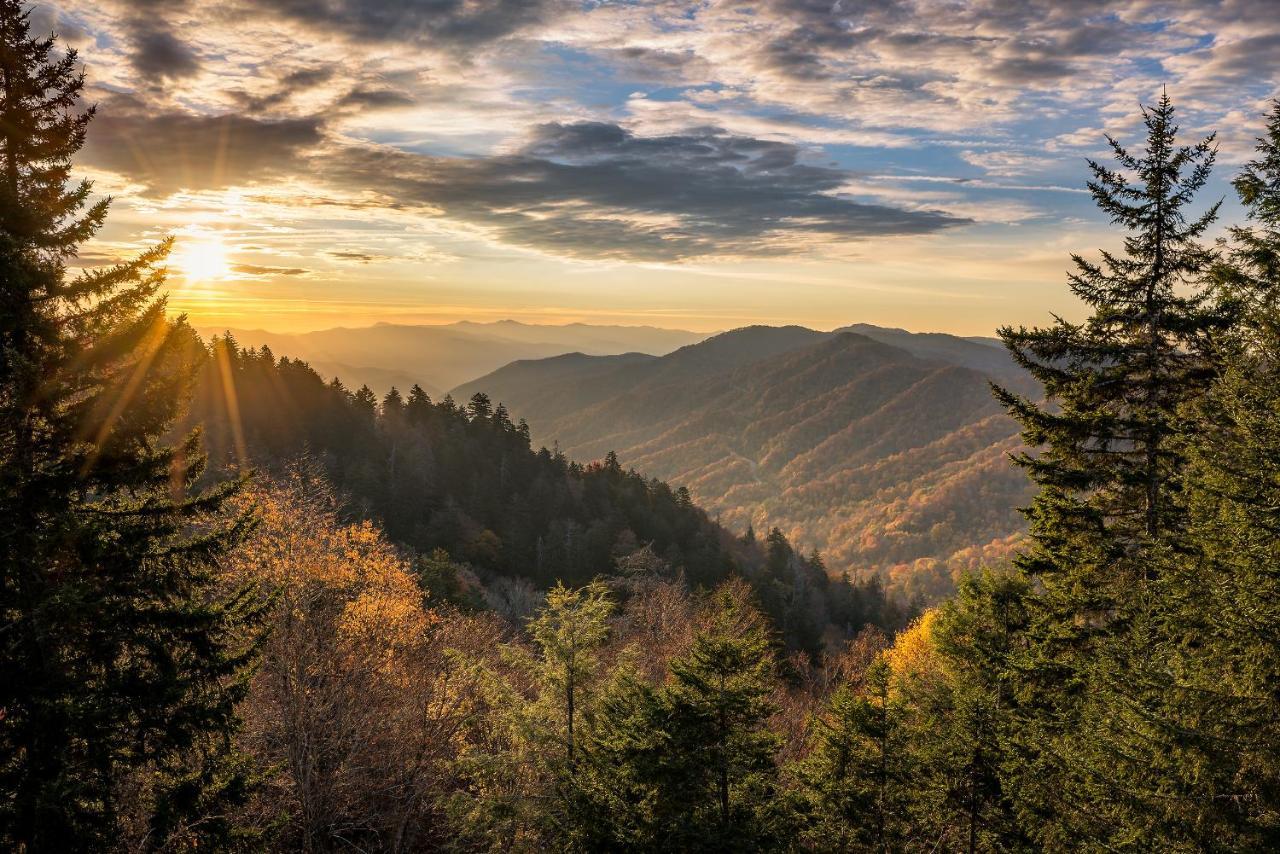 City Bear, 2Br, Pool, Spa, Downtown Gatlinburg, Sleeps 6 Lejlighed Eksteriør billede